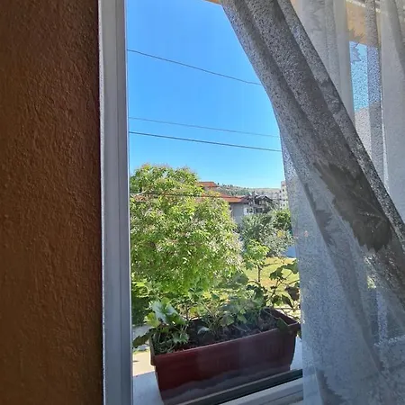 Mura Guest house Razlog